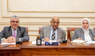 «طاقة الشيوخ» تناقش مستجدات ملف الوقود الأخضر في اقتصادية قناة السويس
