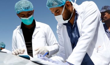 للباحثون والأطباء.. شروط إجراء تجارب سريرية وفقا للقانون