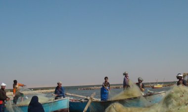 مهام مجلس إدارة جهاز حماية وتنمية البحيرات والثروة السمكية