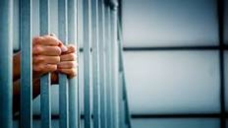 العفو الرئاسي: إخلاء سبيل 33 من الأشخاص المحبوسين احتياطيًا