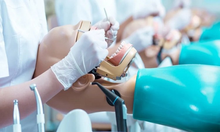 الصحة: تقديم خدمات طب الأسنان لـ 1.2 مليون مواطن خلال شهر يناير الماضي