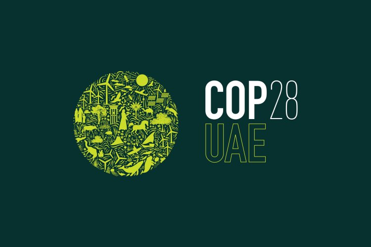 «الطريق إلى COP 28».. بصمات شبابية خالدة في سجل الإنجازات الوطنية