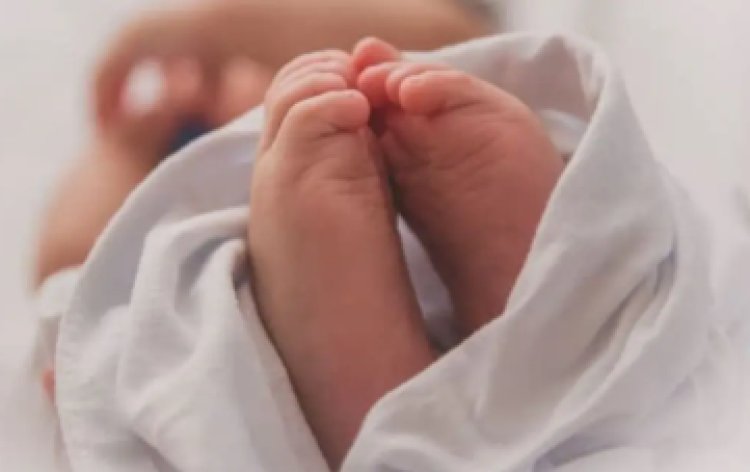 العثور  على جثة طفلة حديثة الولادة ملقاه داخل صندوق القمامة  بالسلام