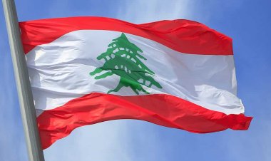لبنان.. توقيف مشتبه به في محاولة اغتصاب صحفية بريطانية