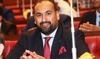 النائب محمد الرشيدي: مصر والسعودية يمثلان محور الاستقرار في المنطقة