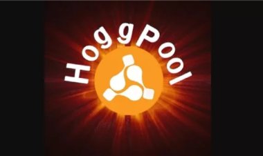 اليوم.. الحكم في التحفظ على أموال 29 متهمًا بقضية «هوج بول»