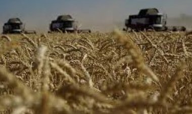 وزير الخارجية الروسي : مصر مركزا للحبوب الروسية في منطقة الشرق الأوسط وإفريقيا
