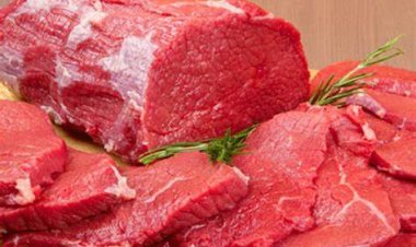 هل تناول اللحم الجملي ينقض الوضوء؟.. داعية إسلامي يجيب