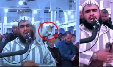 وسائل إعلام دولية تُبرز لحظة صعود قط على كتف الإمام: «أنا مسيحي.. وأحب دعوات الصلاة»
