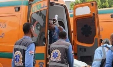 مات وهو صايم.. مصرع عامل إثر انقلاب سيارة ربع نقل في قنا