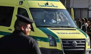 |صابة فرد أمن ونقاش دهستهما سيارة ربع نقل بمنطقة التجمع الأول