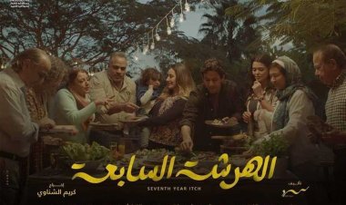 عزة عبد الحميد تكتب.. «الهرشة السابعة» حين تقدم مسلسل من وإلى جمهور التواصل الاجتماعي