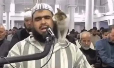 فيديو إمام المسجد والقطة يحقق أكثر من مليار ونصف مشاهدة