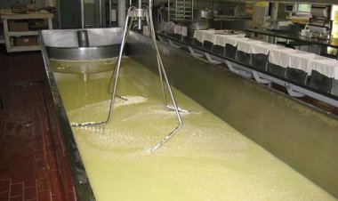 ضبط مصنع ينتج الطحينة من بودرة السيراميك وقشر الفول السوداني بالجيزة