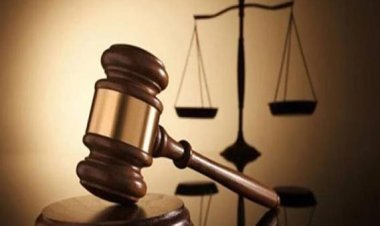 التزوير في أوارق سمية..  بطاقة شخصية تحيل سيدة ونجلها إلى جنايات قنا