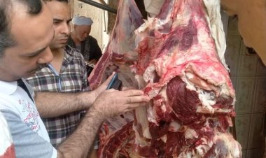 محافظ أسيوط يوجه بتكثيف حملات التفتيش على الأسواق قبل الأعياد