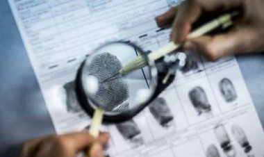 القبض على شخص بتهمة التزوير في محررات رسمية بالجيزة