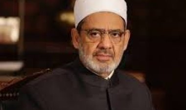 الإمام الطيب: سوء الخلق ليس سبب للطلاق