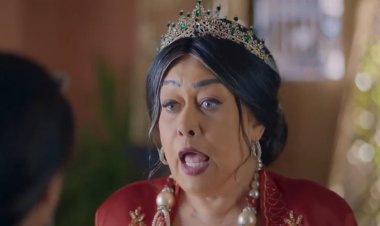 بعد حب هالة فاخر للعصافير في «جت سليمة»..  نصائح هامة لتربية الطيور