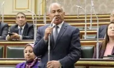 رئيس دفاع النواب: إعطاء الأجنبي المالك لعقار الجنسية المصرية يشجع على الاستثمار
