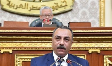 وكيل تشريعية النواب: حالات اكتساب الجنسية المصرية بشراء عقار موجودة بالقانون القائم