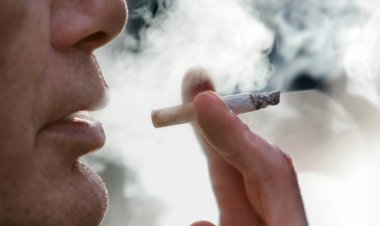 من 35 إلى 44 عامًا.. نتائج مسح الاستهلاك تكشف أعلى نسبة مدخنين بمصر