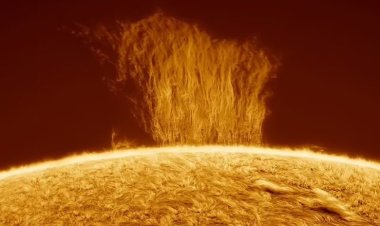 ظاهرة غريبة في الشمس تهدد شبكات الطاقة حول العالم
