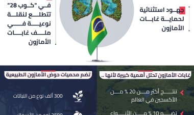 من إكسبو 2020 إلى كوب 28.. البرازيل تقود ملف رئة العالم