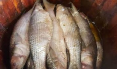 بعد مصرع وإصابة 4 بالتسمم.. إجراء سريع ضد «بائع ملوحة» بقنا