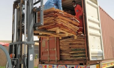 «من قفط إلى الصين».. تصدير  ثاني شحنه من ألواح الكونتر بالمنطقة الحرة العامة