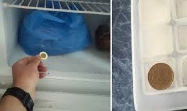 لماذا يجب عليك ترك عملة معدنية في الفريزر عند مغادرة المنزل لعدة أيام⁩