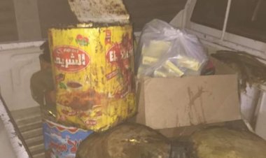 ضبط 149 كيلو أسماك مملحة غير صالحة للاستهلاك في المنيا