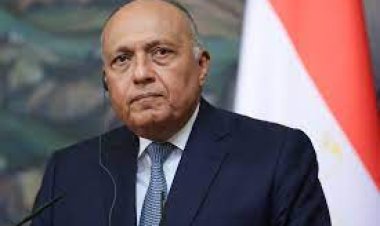وزير الخارجية يؤكد ضرورة إعطاء الأولوية للحفاظ على مؤسسات الدولة السودانية