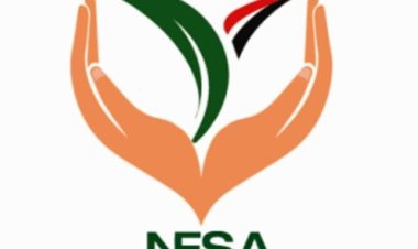 الهيئة القومية لسلامة الغذاء: الانتهاء من فحص 30 شكوى تزامنًا مع عيد الفطر