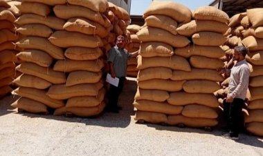 «الزراعة» تُزيل التعديات على الأراضي الزراعية وتفحص المنتجات الغذائية