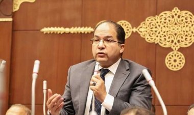 «اللمعي»: الرئيس السيسي أولى اهتمامًا بمتابعة تطورات نقل المصريين من السودان