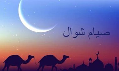 هل يجوز الجمع بين صيام الست من شوال والقضاء؟