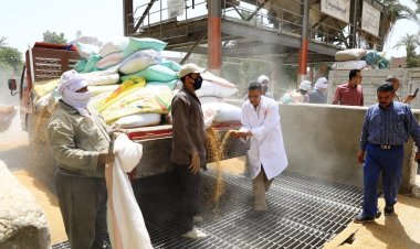 محافظ سوهاج يعلن بدء موسم توريد الأقماح 2023