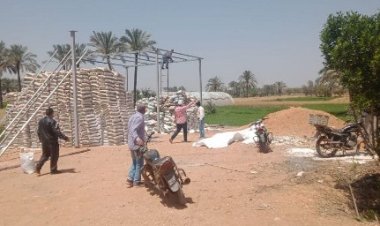 إزالة التعديات المخالفة على الأرض الزراعية بالشرقية