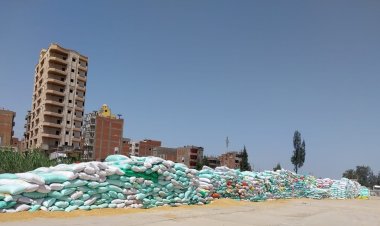 محافظ الدقهلية: المتوقع توريد 490 الف طن قمح هذا العام