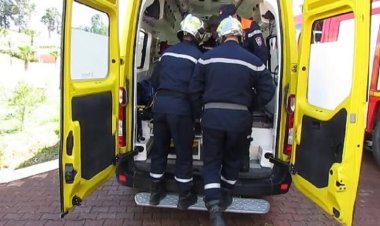 الجزائر.. تسمم 17 تلميذا تناولوا ثمار الأشجار في ساحة مدرستهم