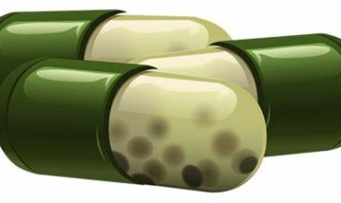 ابتكار «بطارية» صالحة للأكل وقابلة لإعادة الشحن