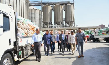 توريد ٥٢٠٠ طن من القمح داخل صوامع وشون الغربية