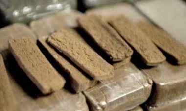 ضبط «كيلو حشيش» بحوزة ديلر في القاهرة