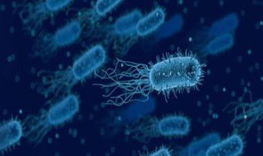 تنتقل لمسافات طويلة.. اكتشاف بكتيريا مقاومة للمضادات الحيوية