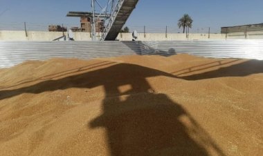 محافظ سوهاج: توريد 2401 طن قمح منذ بدء الموسم دون معوقات