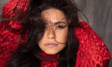 مدير أعمال شيرين عبد الوهاب يهاجم منتقديها.. وللجمهور: هناك مفاجآت قادمة