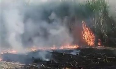 حريق يلتهم أرض زراعية بمركز إيتاى البارود بالبحيرة