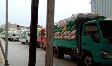 محافظ كفر الشيخ: توريد 22248 طن قمح لـ 22 موقعاً