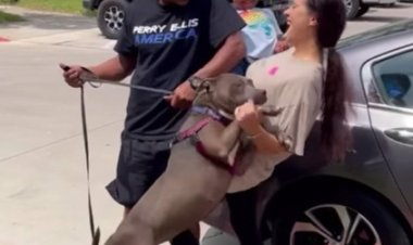 لم شمل «الكلبة جوسي» مع عائلتها في مشهد مؤثر